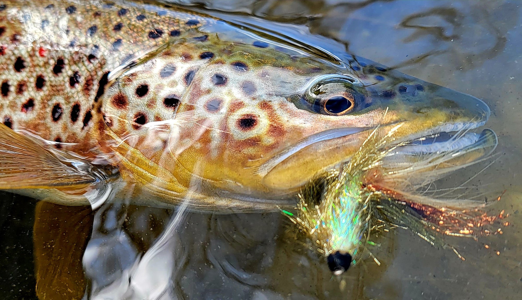 Slotted Tungsten Beads Blackfoot River Outfitters