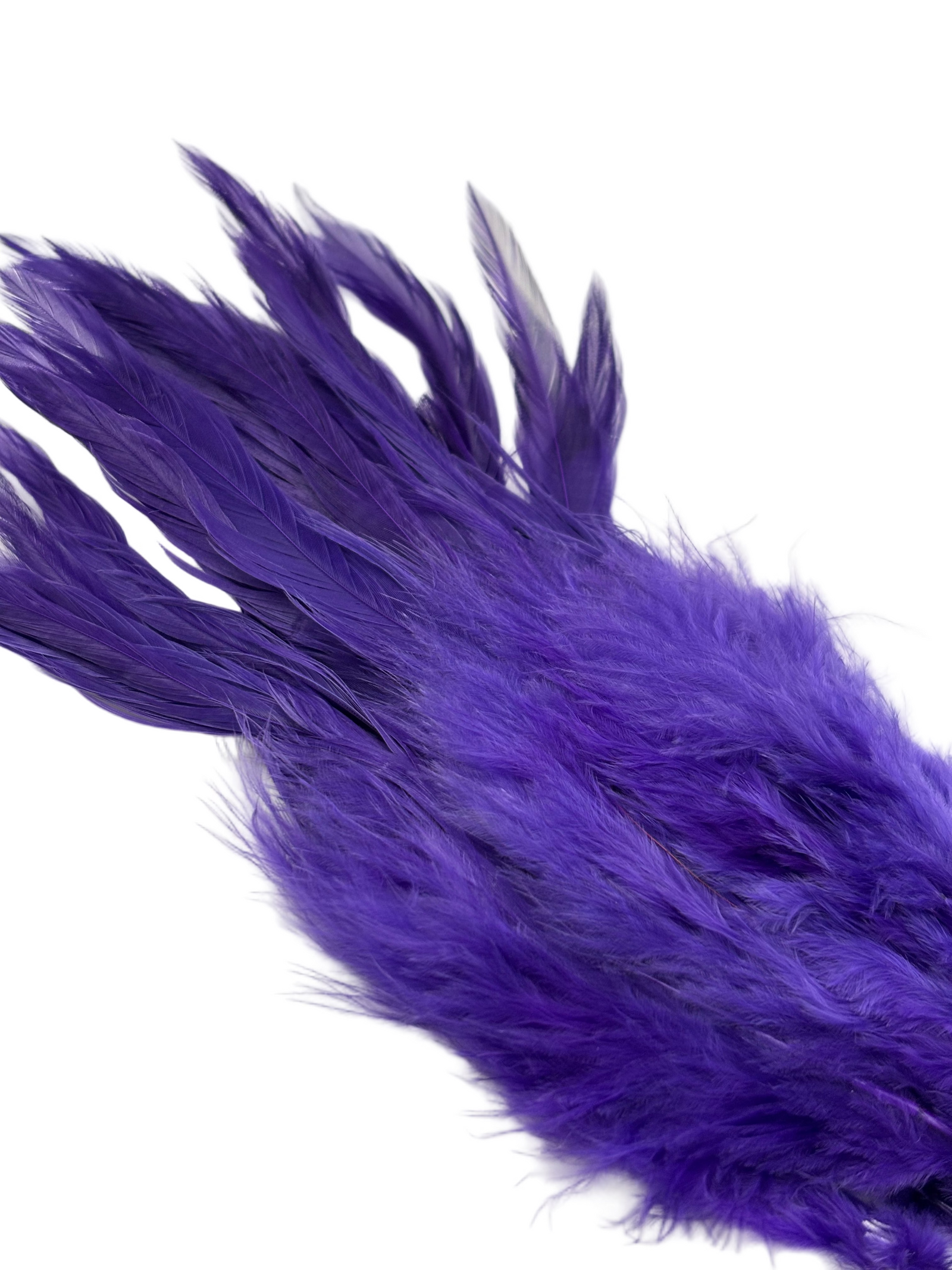 Nature's Spirit Fish Hunter Select Schlappen
