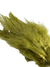 Nature's Spirit Fish Hunter Select Schlappen
