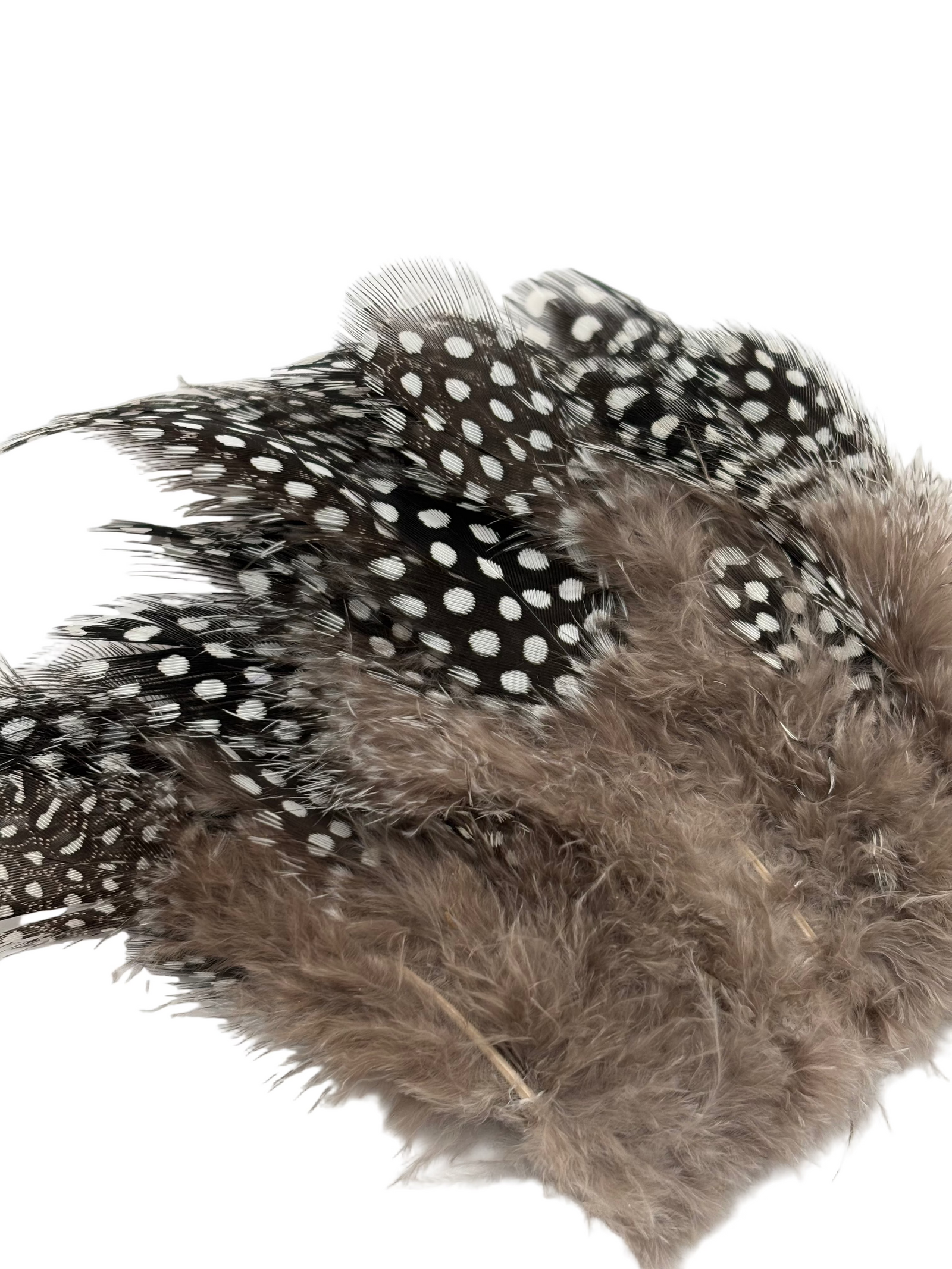 Nature's Spirit Fish Hunter Large Dot Guinea