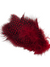 Nature's Spirit Fish Hunter Large Dot Guinea