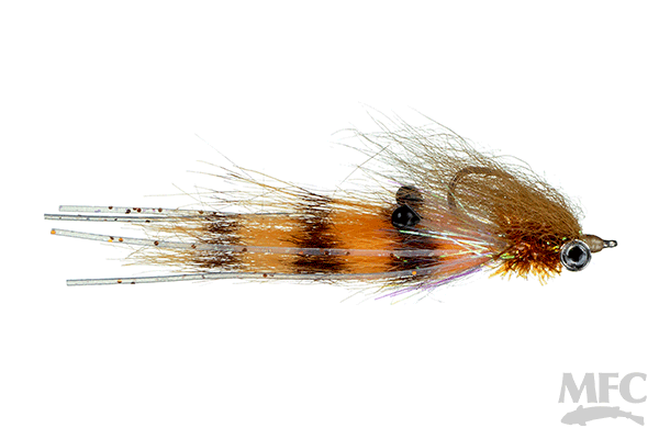 Doyle's Lach Shrimp