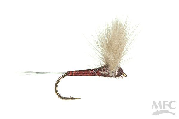 Quill Body CDC Comparadun