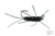 Tungsten Jig Girdle Bug