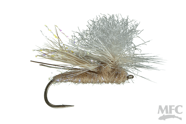 Parachute Spruce Moth