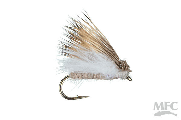 Jake's Richter Scale Spruce Moth