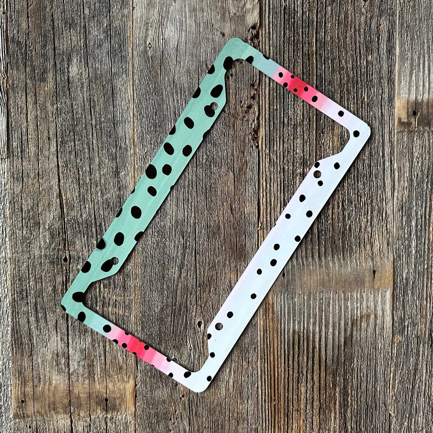 Rainbow Trout License Plate Frame