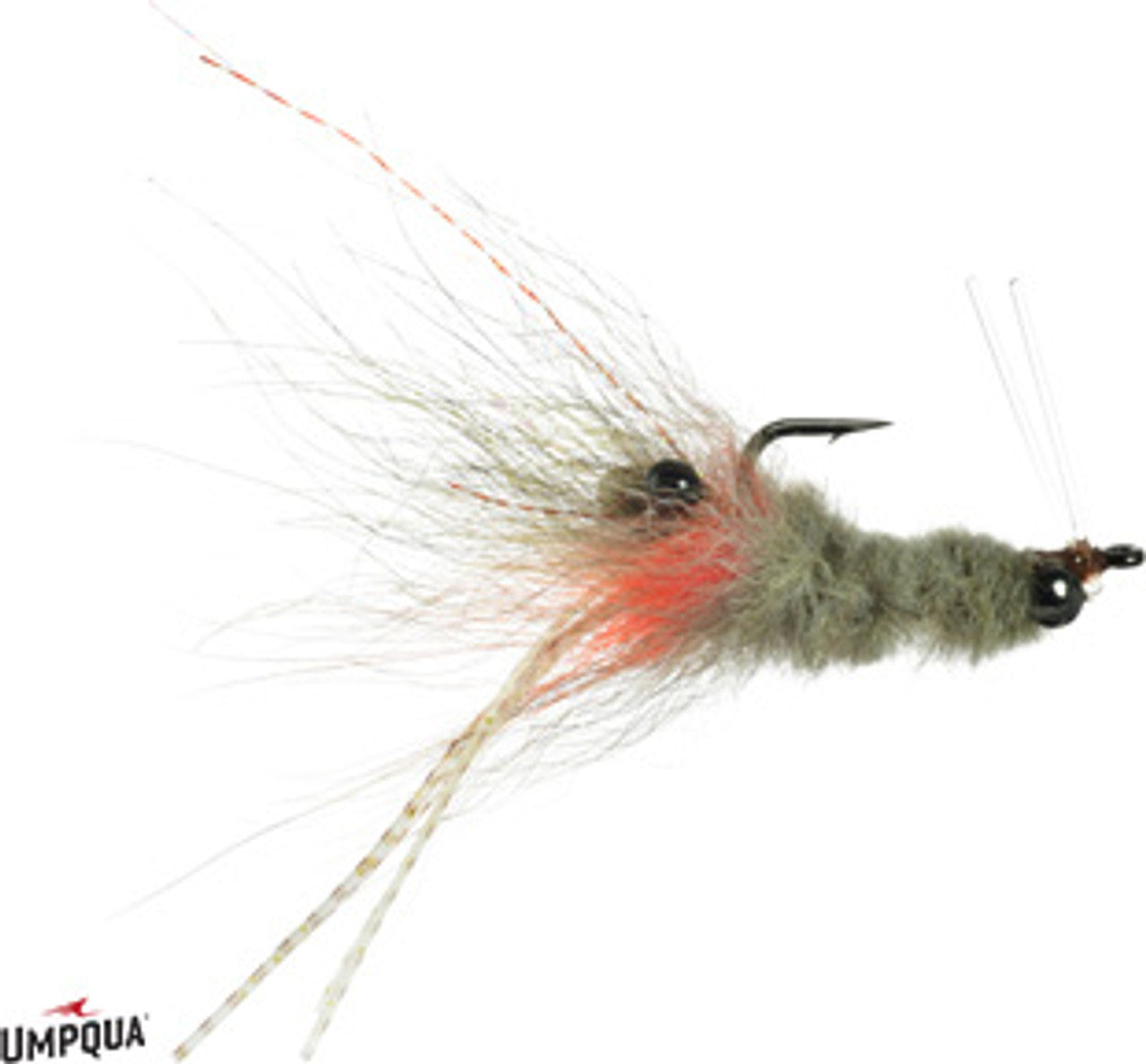 Coyote Spawn Shrimp- Tan/Orange