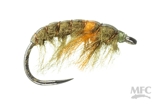 MFC Chan's Pregnant Gammarus Scud- Olive