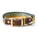 Whiskey Leatherworks Adjustable Print Dog Collar