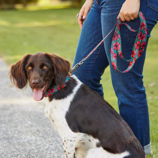 Orvis x Fishewear Dog Leash