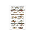 Trout of North America Poster