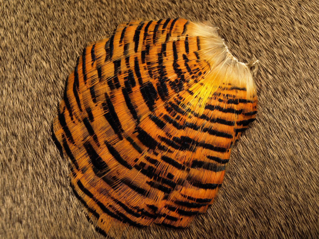 Nature's Spirit Golden Pheasant Tippet Section