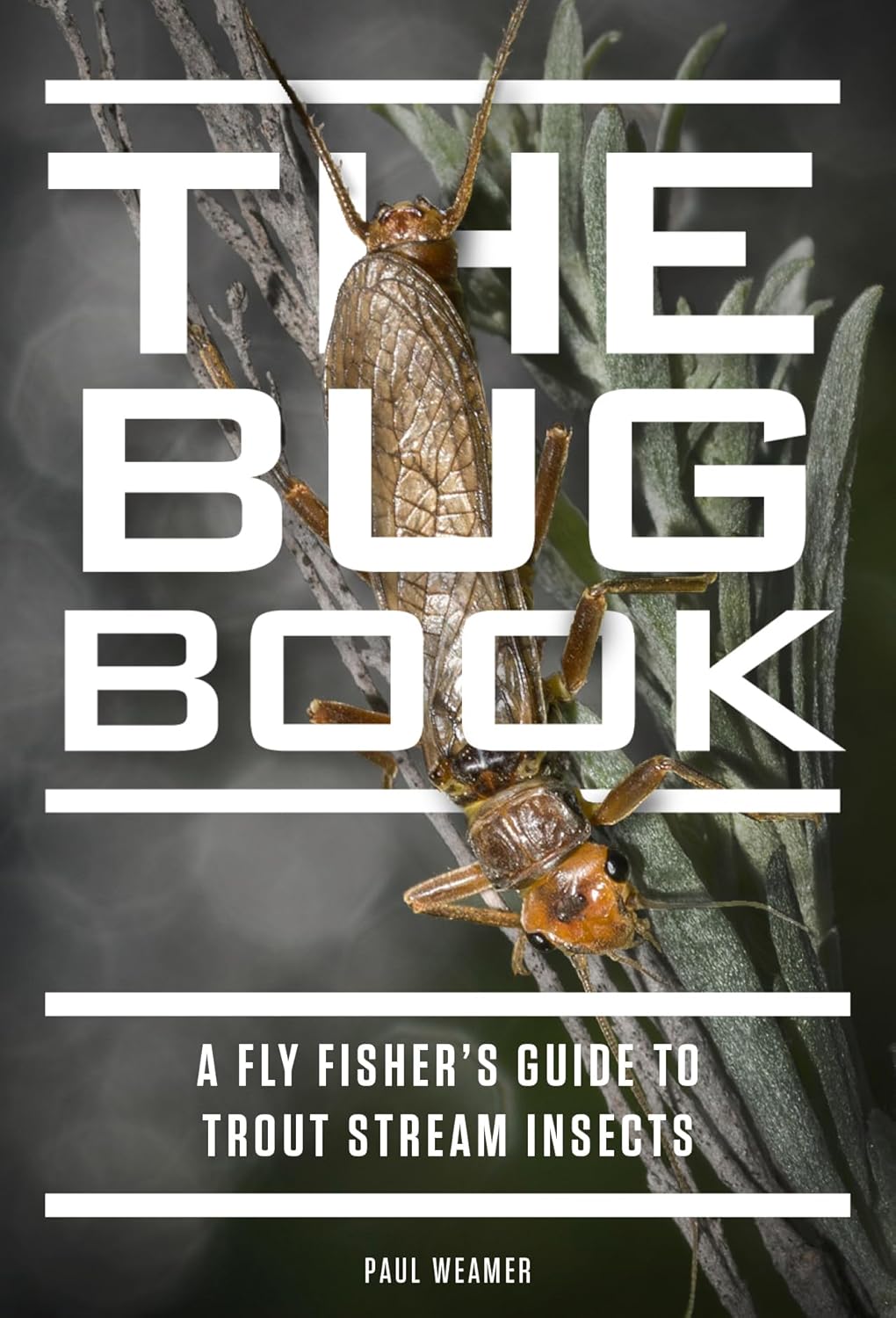 The Bug Book by Paul Weamer