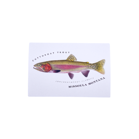 Lilybary Missoula MT Cutthroat Trout Post Card