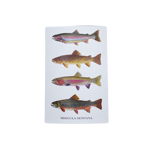 Lilybart Missoula MT Grand Slam Trout Post Card