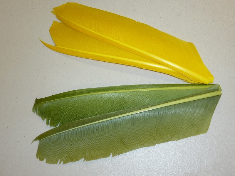Nature's Spirit Turkey Biot Quill Pieces