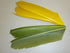 Nature's Spirit Turkey Biot Quill Pieces