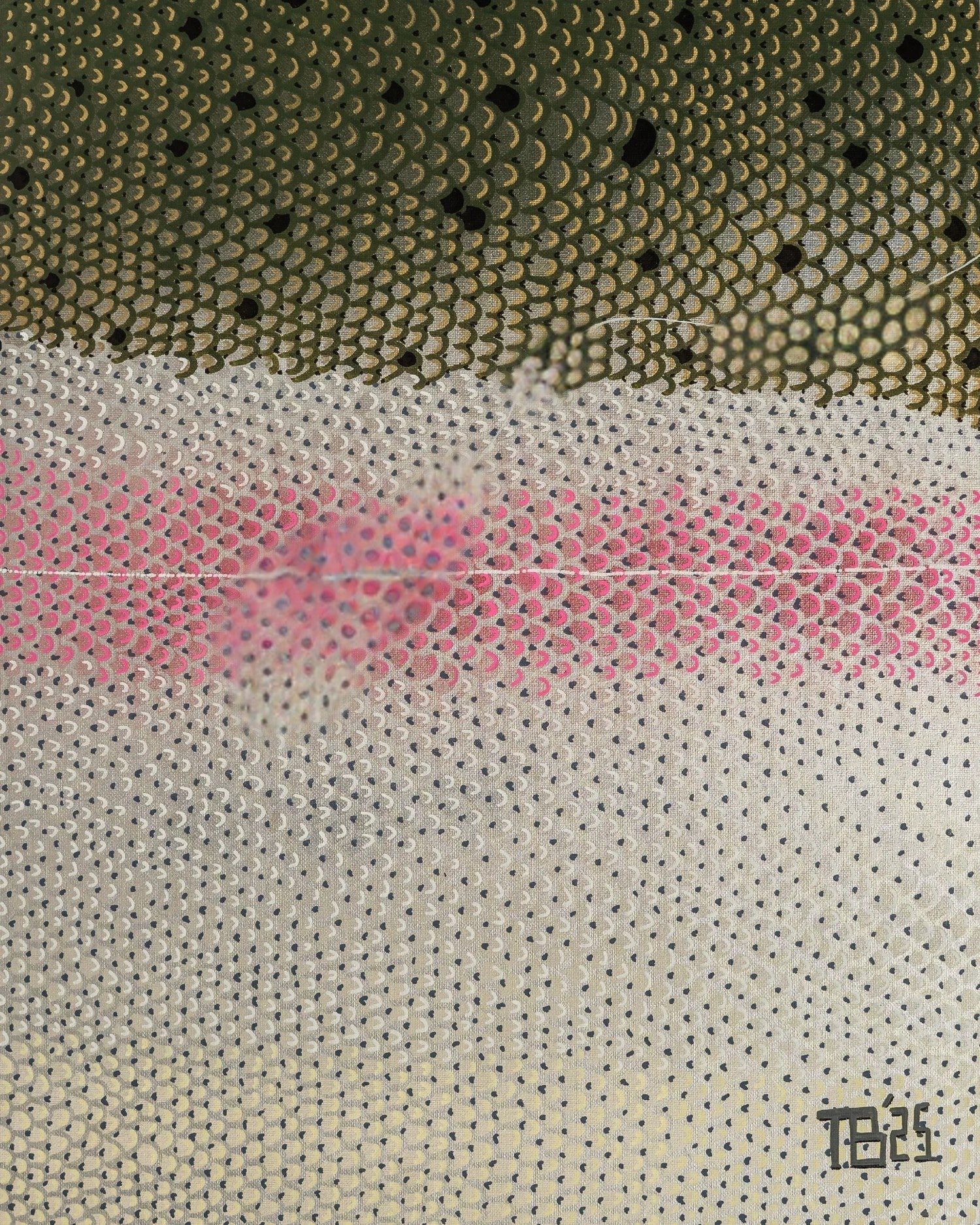 TB Fish Art Steelhead Flank Study 1 Print- 10"x 8"