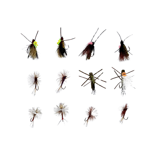 Spring Fly Assortment