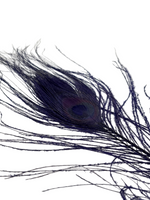 Nature's Spirit Peacock Eye Sticks