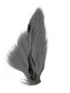 Large Bucktail