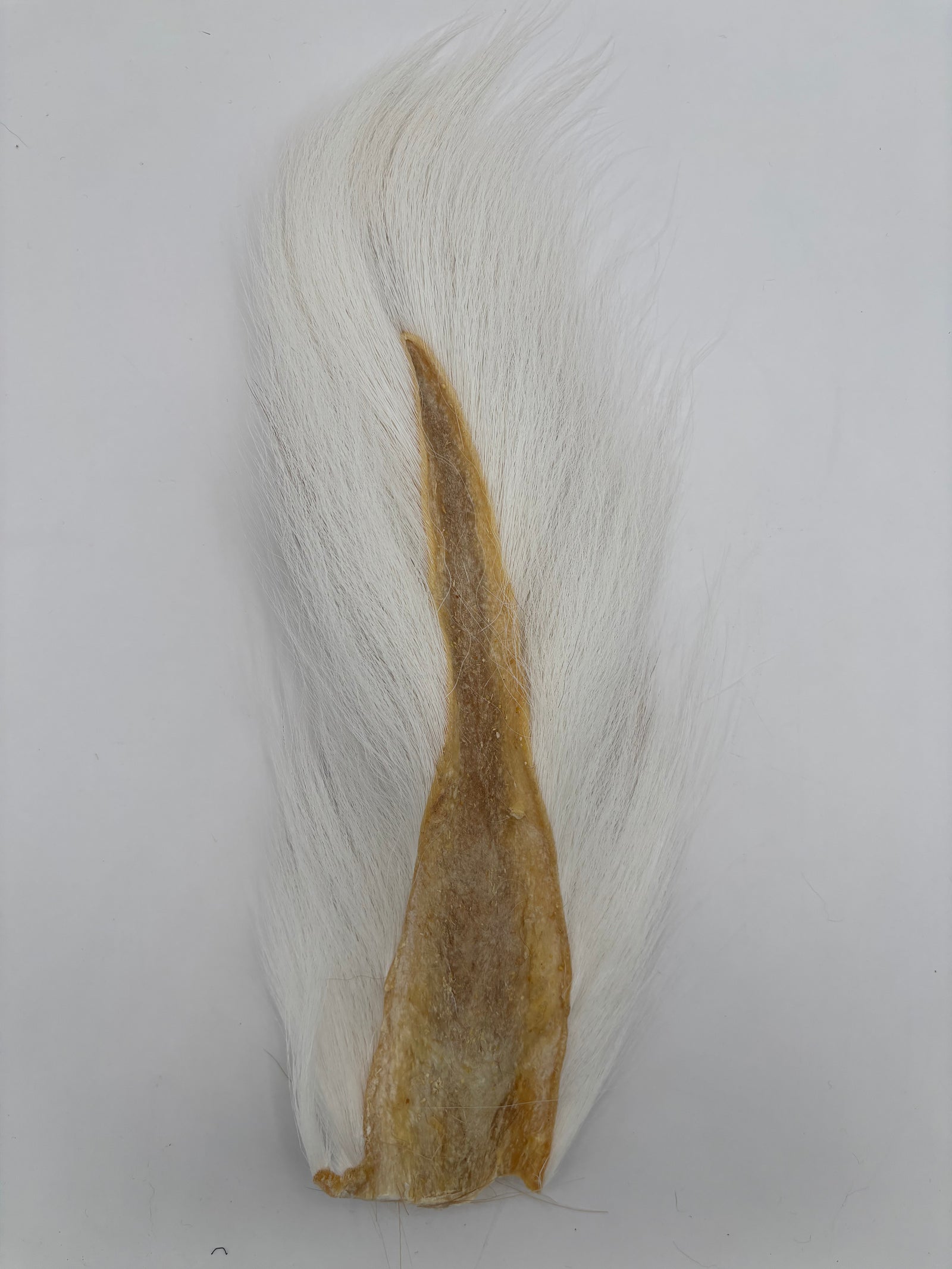 Large Bucktail
