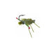 Umpqua's Belly Flop Crab- Olive