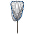 Rising Brookie Net