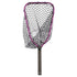 Rising Brookie Net