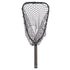 Rising Brookie Net