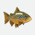 Remedy Brown Trout Football Sticker
