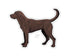 Casey Underwood Chocolate Lab Decal