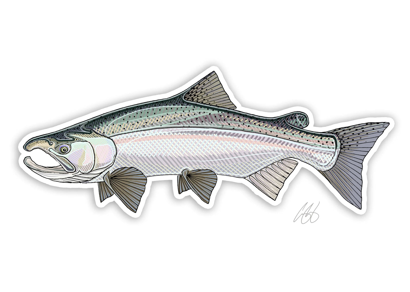 Casey Underwood Coho Salmon Decal