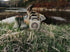 The Turtle Box Cub Speaker