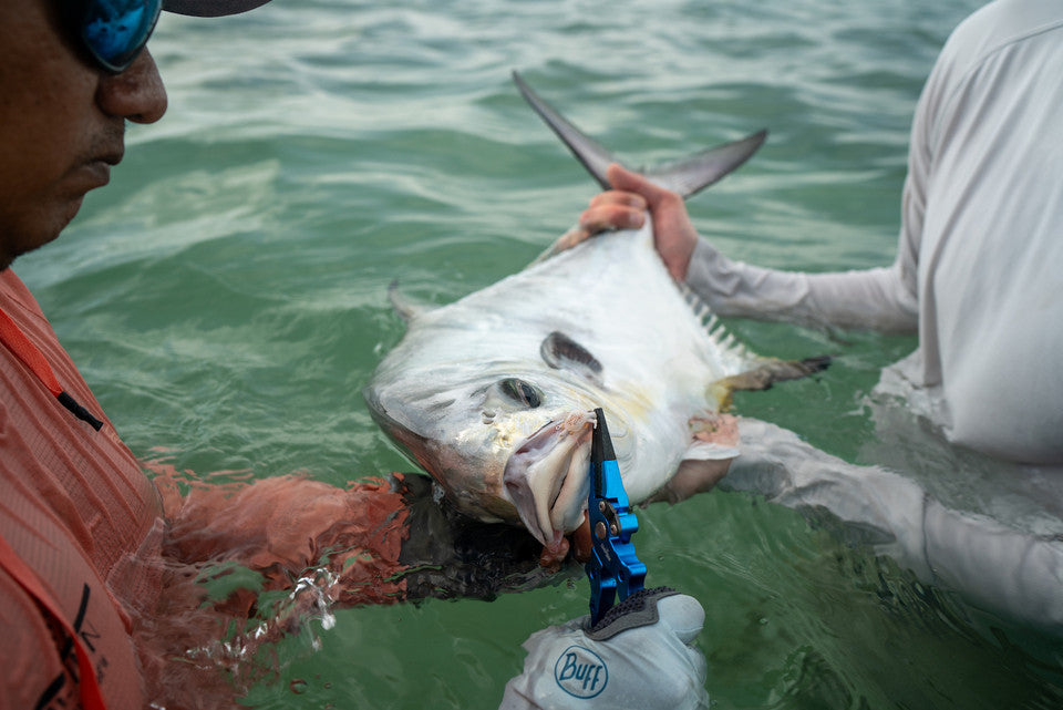 Umpqua River Run Big Game Plier w/ Holster