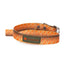 Fishpond Dog Collar