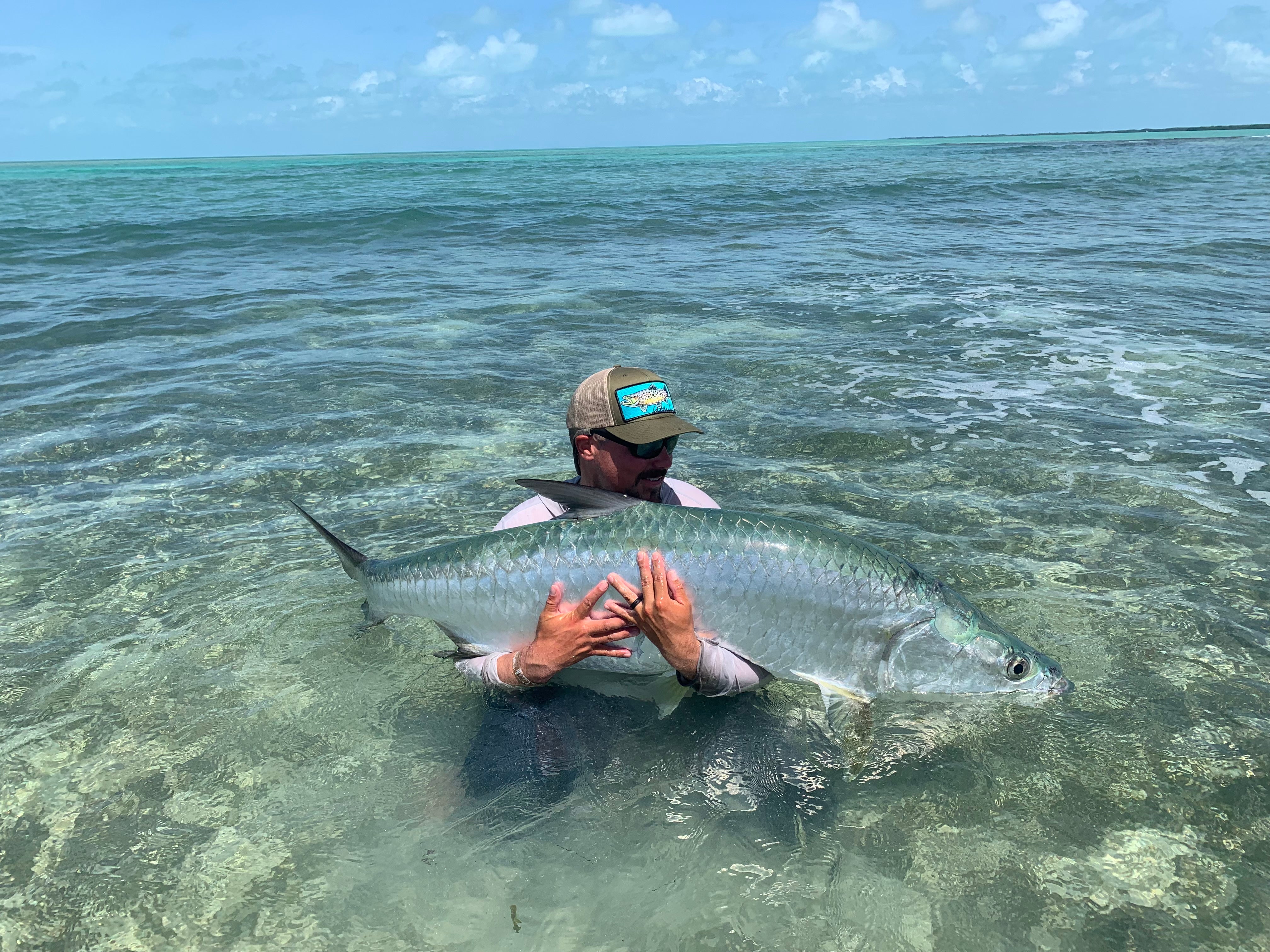 Tarpon Fly Assortment
