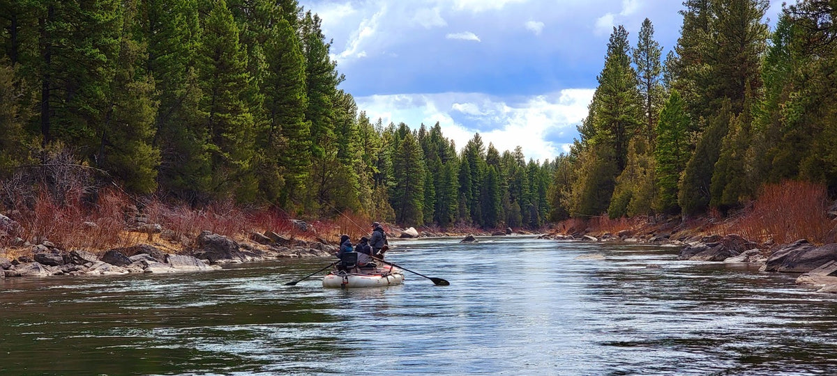 Guided Fly Fishing & Accommodation Packages