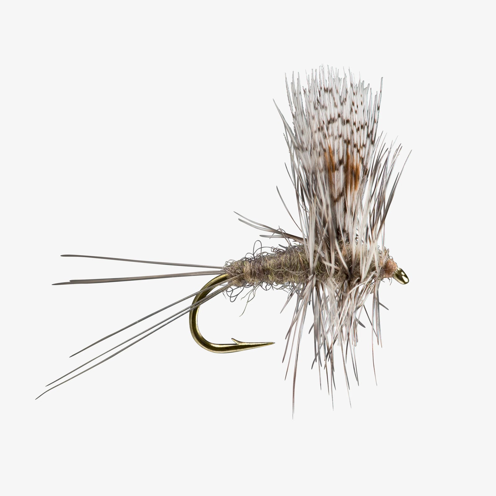 Thorax (1 doz) - SALE