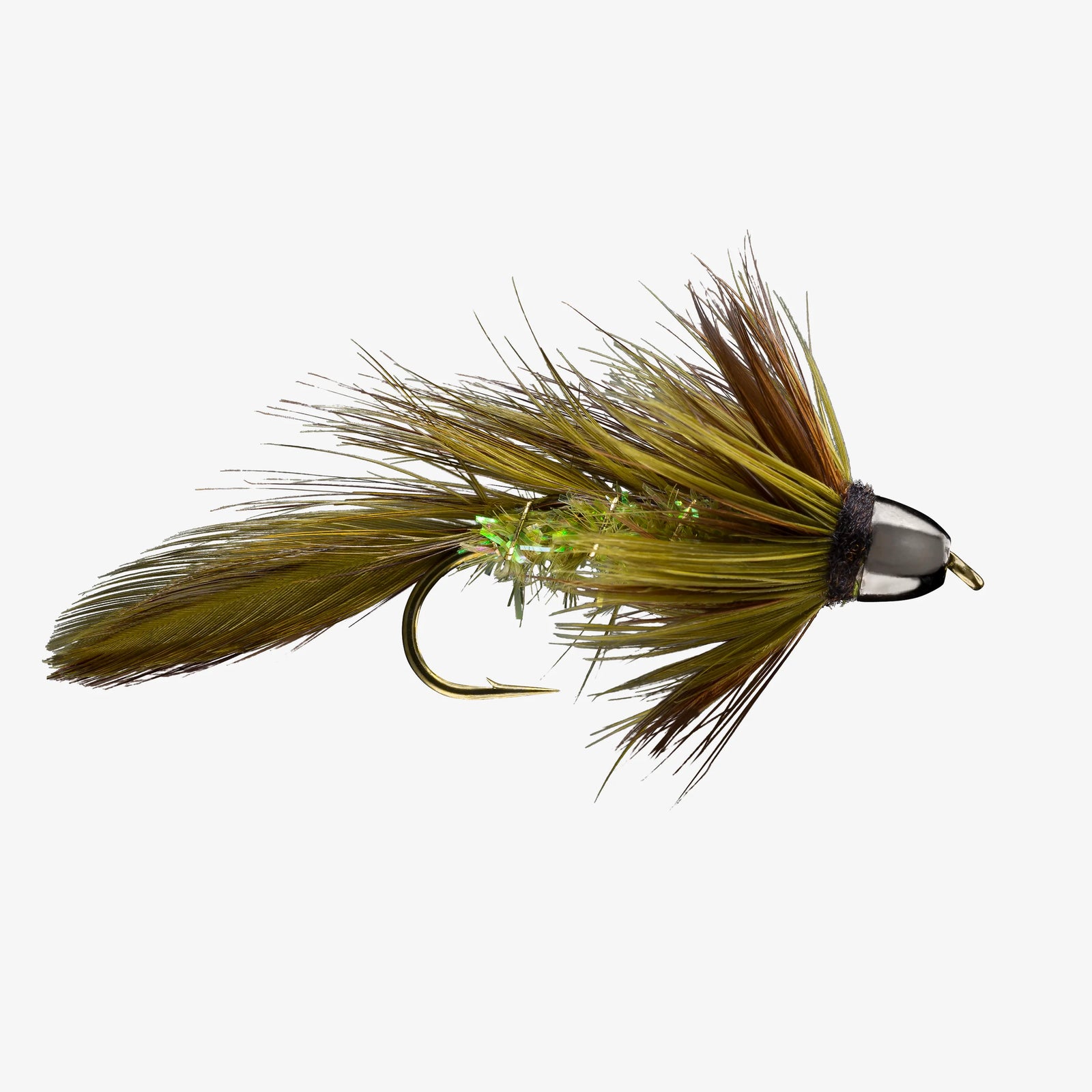 CH Olive Blossom Special (1 doz) - SALE