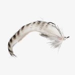 RIO's Meat Sweats (6 pack) - SALE