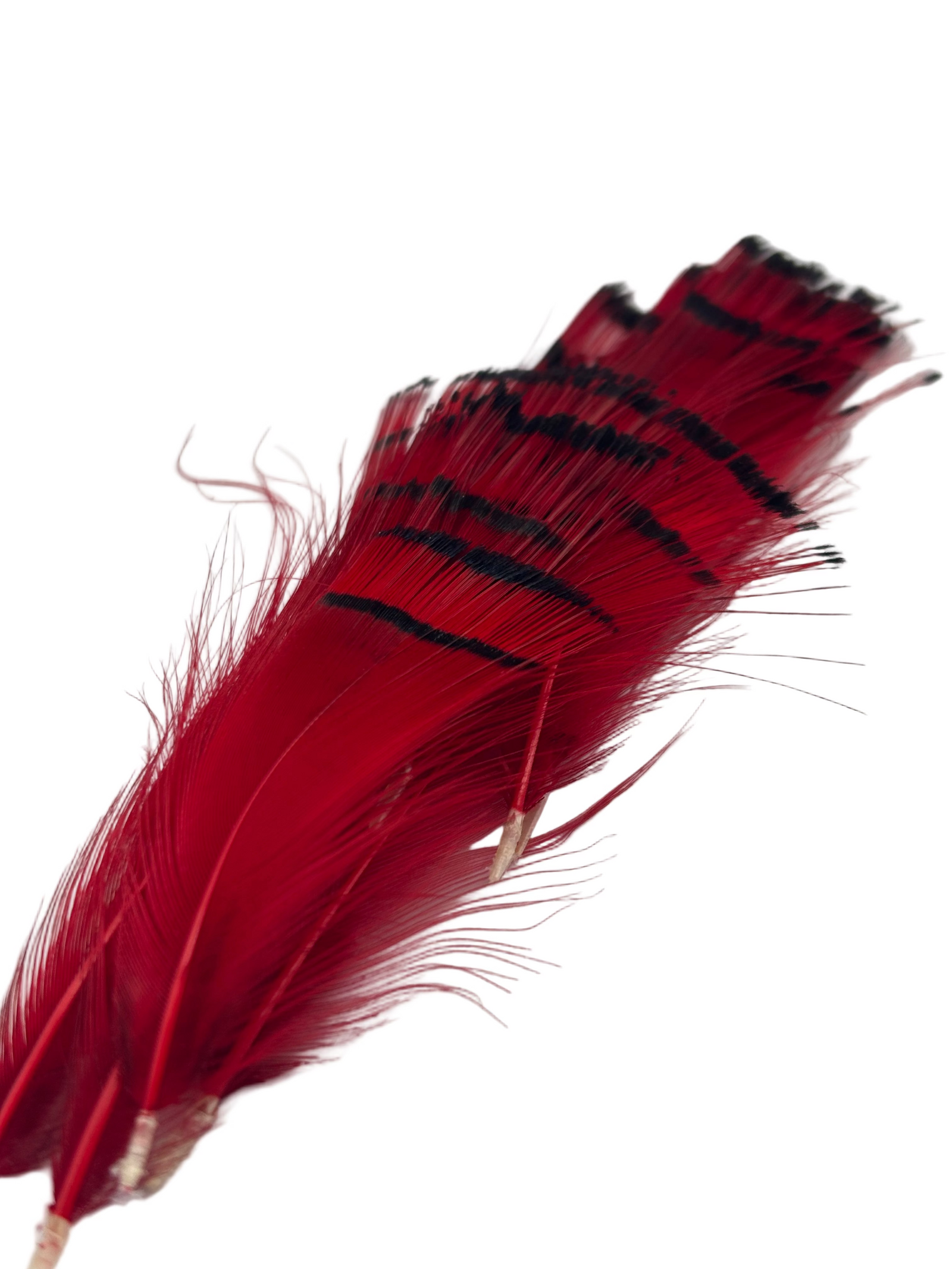 Nature's Spirit Golden Pheasant Tippet Assortment