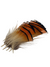 Nature's Spirit Golden Pheasant Tippet Assortment
