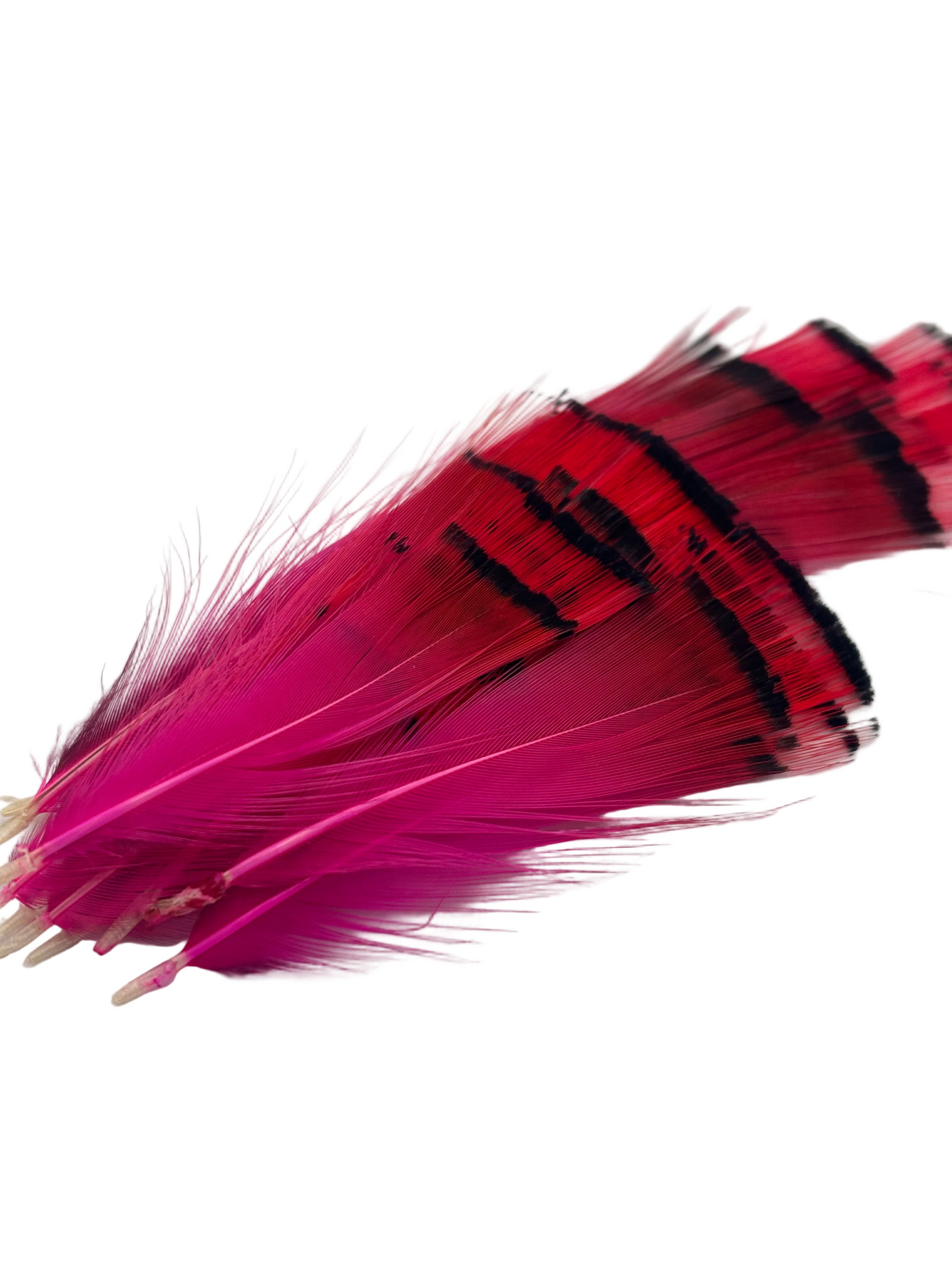 Nature's Spirit Golden Pheasant Tippet Assortment