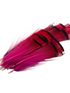Nature's Spirit Golden Pheasant Tippet Assortment