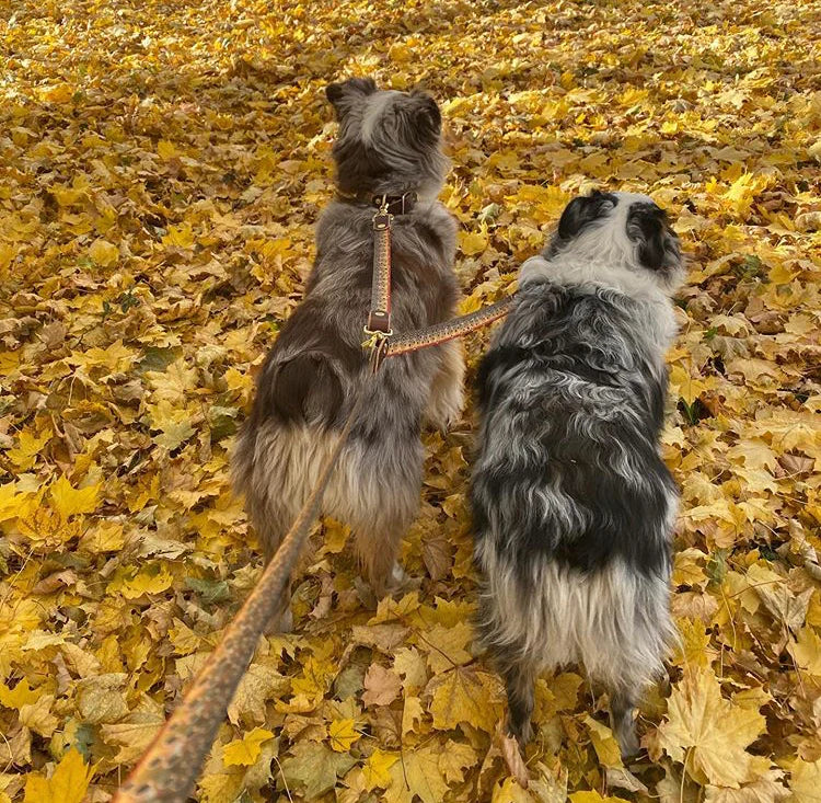 Whiskey Leatherworks Double Dog Leash