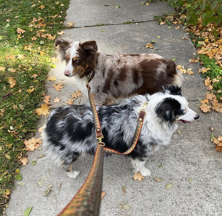 Whiskey Leatherworks Double Dog Leash