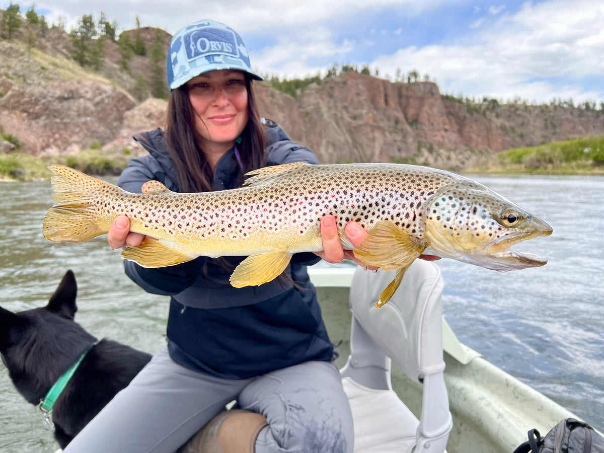 Angler holding a big brown trout in a drift boat with a black dog beside her