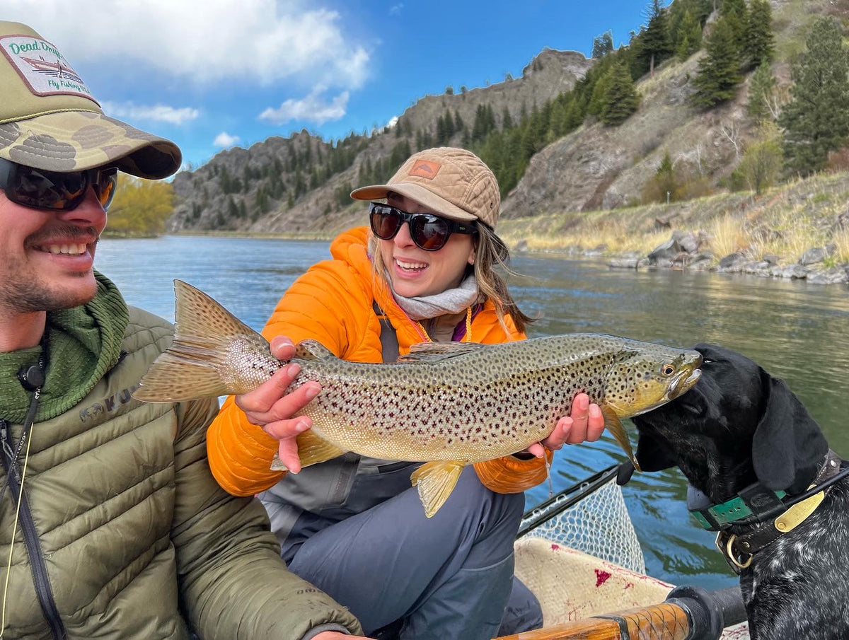 Angler holding a large brown trout in a drift boat on the Missouri River near Craig, Montana